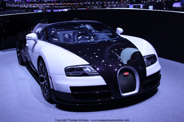 bugatti veyron vitesse 2014 (salon de l'auto de geneve 2014)