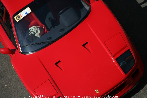 Ferrari F40 (Classic Days 2008)