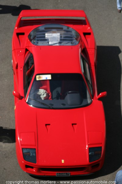 Ferrari F40 (Classic Days 2008)