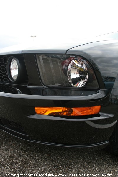 Ford Mustang GT 2007 (Epoqu'auto 2007)