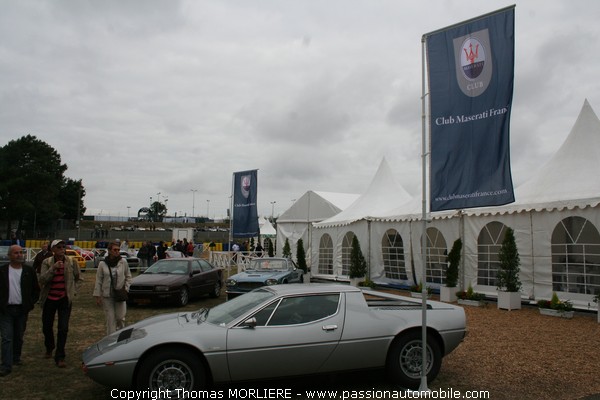 Maserati (Le Mans Classic 2008)