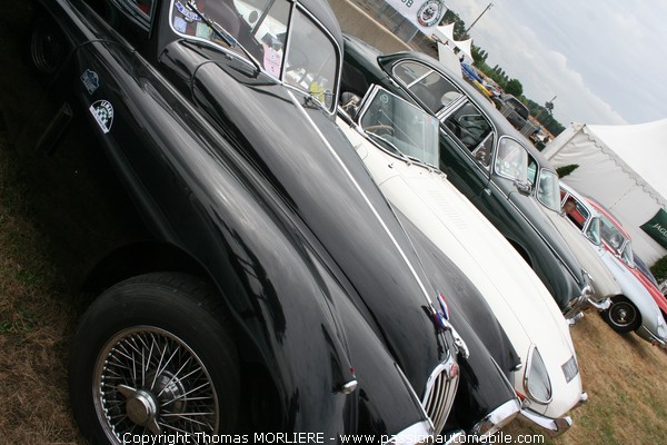 French Jaguar Driver's Club (Le Mans Classic 2008)