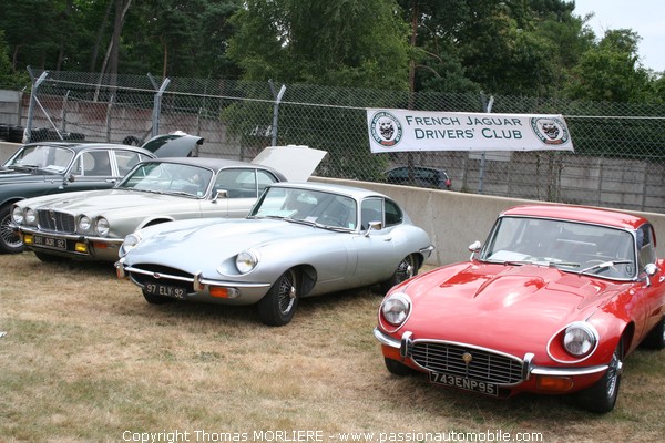 French Jaguar Driver's Club (Le Mans Classic 2008)