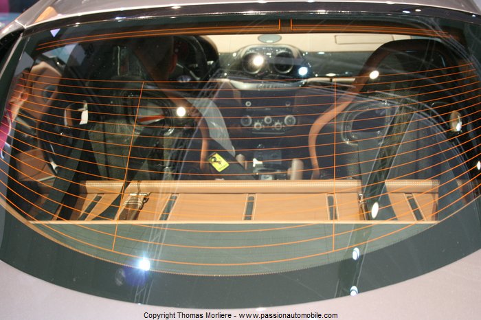 ferrari 599 gtb fiorano 2010 (Mondial de l'automobile 2010)
