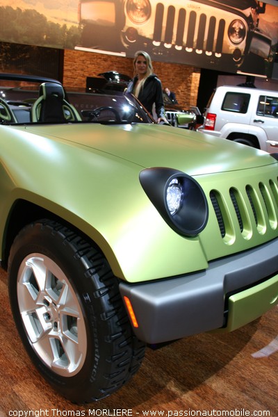 Jeep (Salon auto 2008)