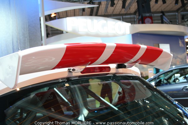 207 Spyder 2000 (2008) (Mondial de l'automobile 2008)