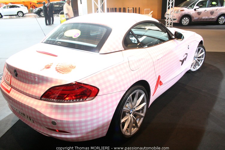 Expo la plus femme des voitures (Salon auto de Lyon 2009)
