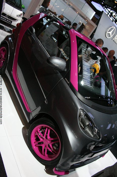 smart 2011 (Salon auto de Lyon 2011)