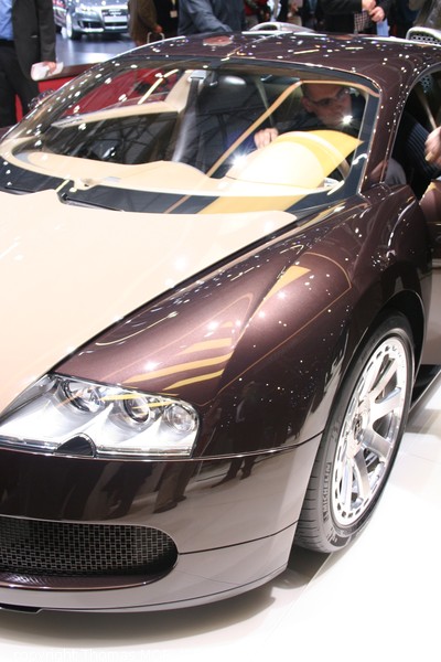 Veyron Faubourg hermes 2008 (Salon auto de Geneve 2008)