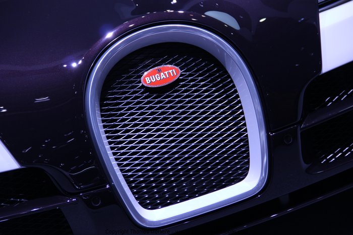 bugatti veyron vitesse 2014 (Salon auto de geneve 2014)
