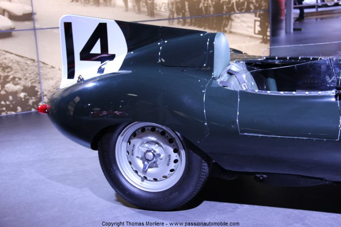jaguar type d 24h du mans 1954 (Salon auto de geneve 2014)