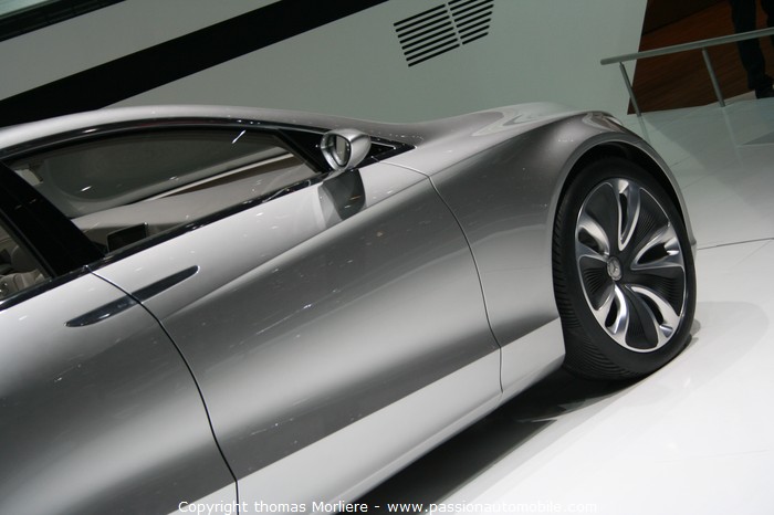 Mercedes F 800 Style concept-car 2010 (Salon Auto de Genve 2010)