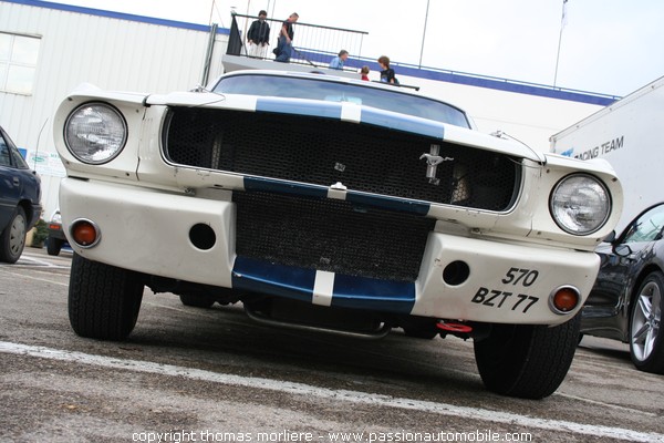 Ford Mustant GT 350