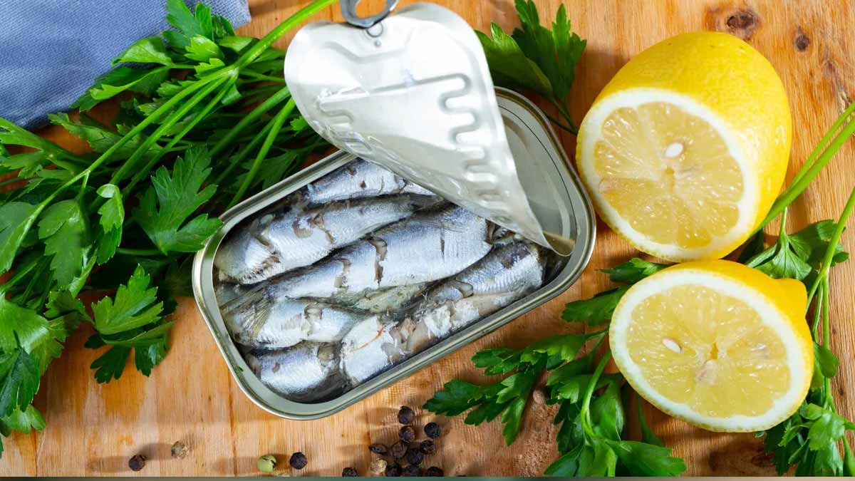 sardines en conserve