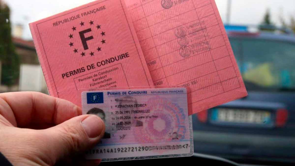 permis de conduire à vie