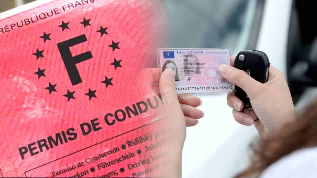 permis de conduire