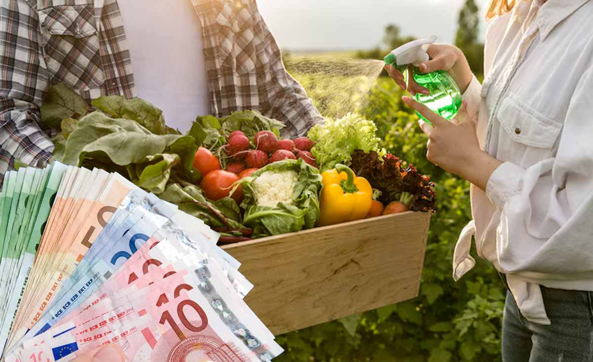 allocation alimentaire