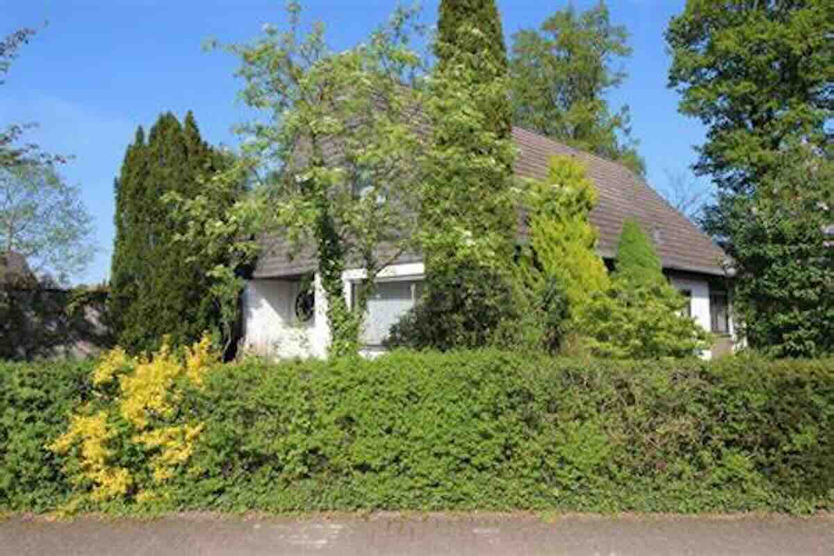 Cet arbre qui pousse à vue d’œil est idéal pour dissimuler son jardin