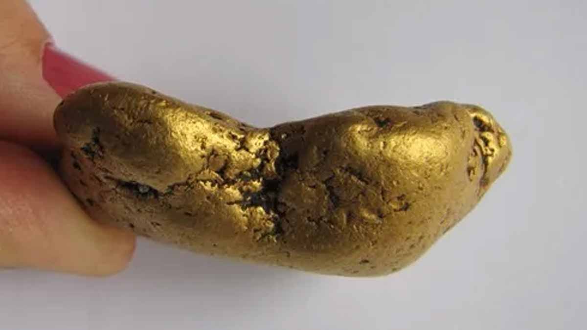 pépites d’or