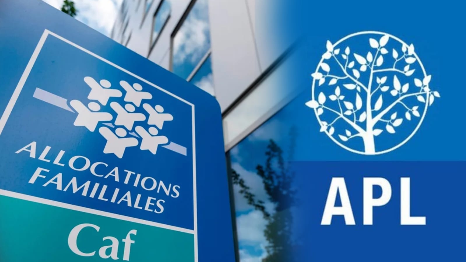 les APL seront coupées