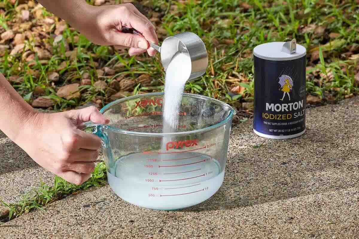 Jardin : Ma recette pour concocter un désherbant très puissant avec du sel et hyper économique