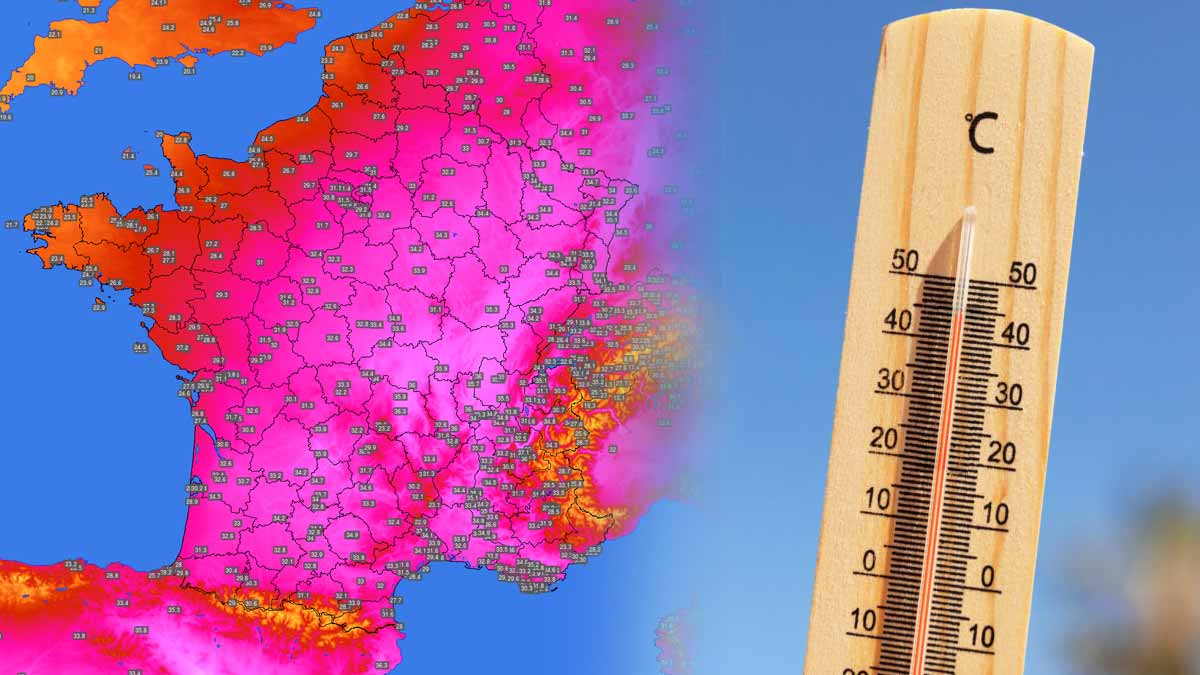 canicule