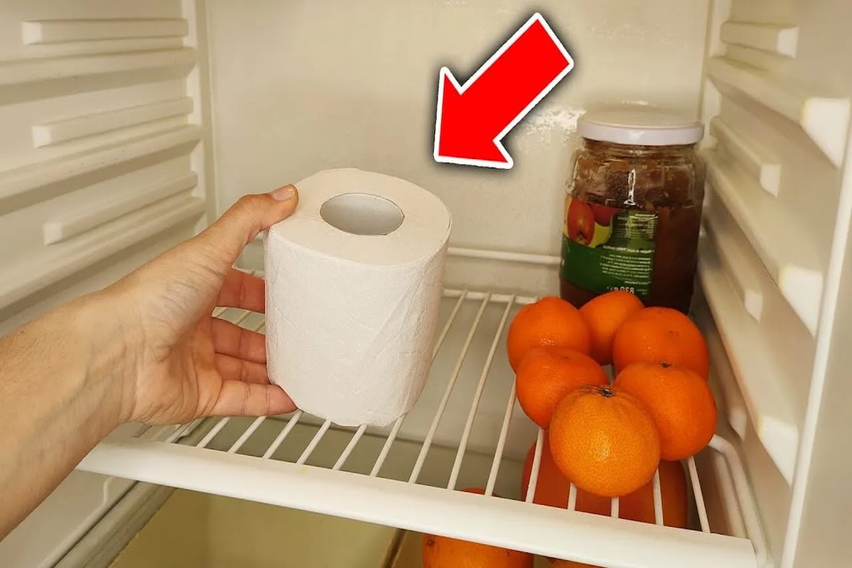 L’astuce improbable du papier toilette dans le frigo : vous n’allez plus vous en passer