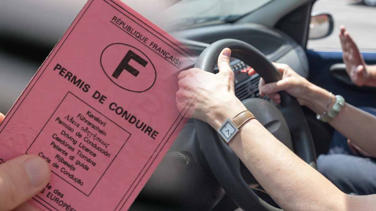permis de conduire
