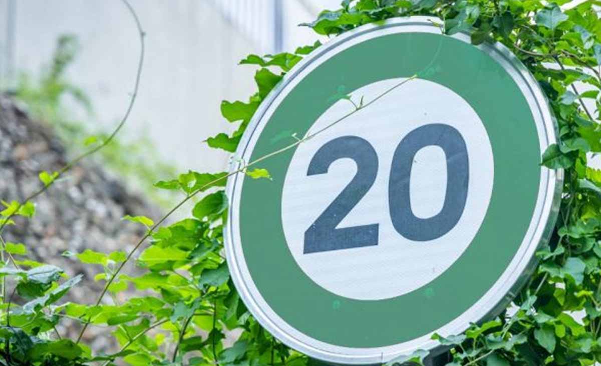 signalisation verte