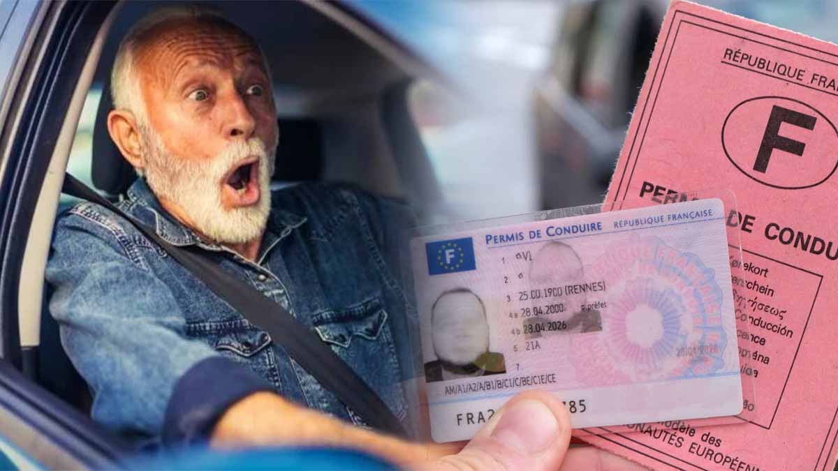 Permis de conduire