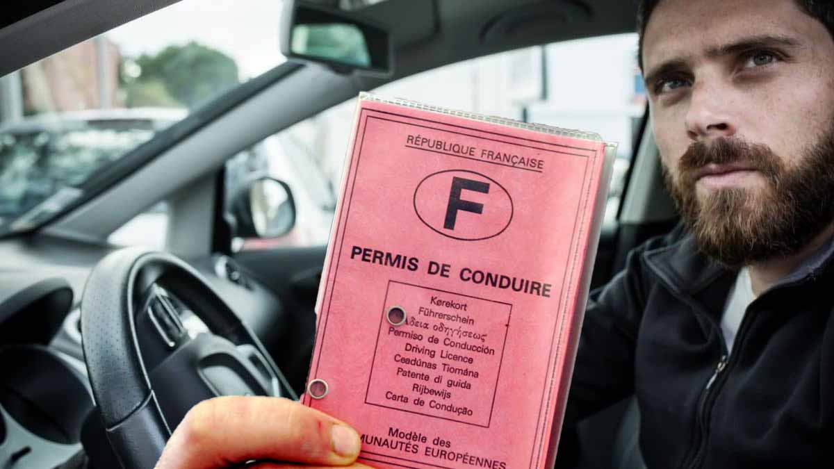 permis de conduire