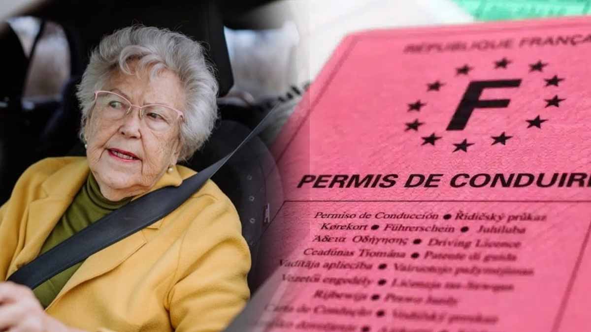 permis de conduire