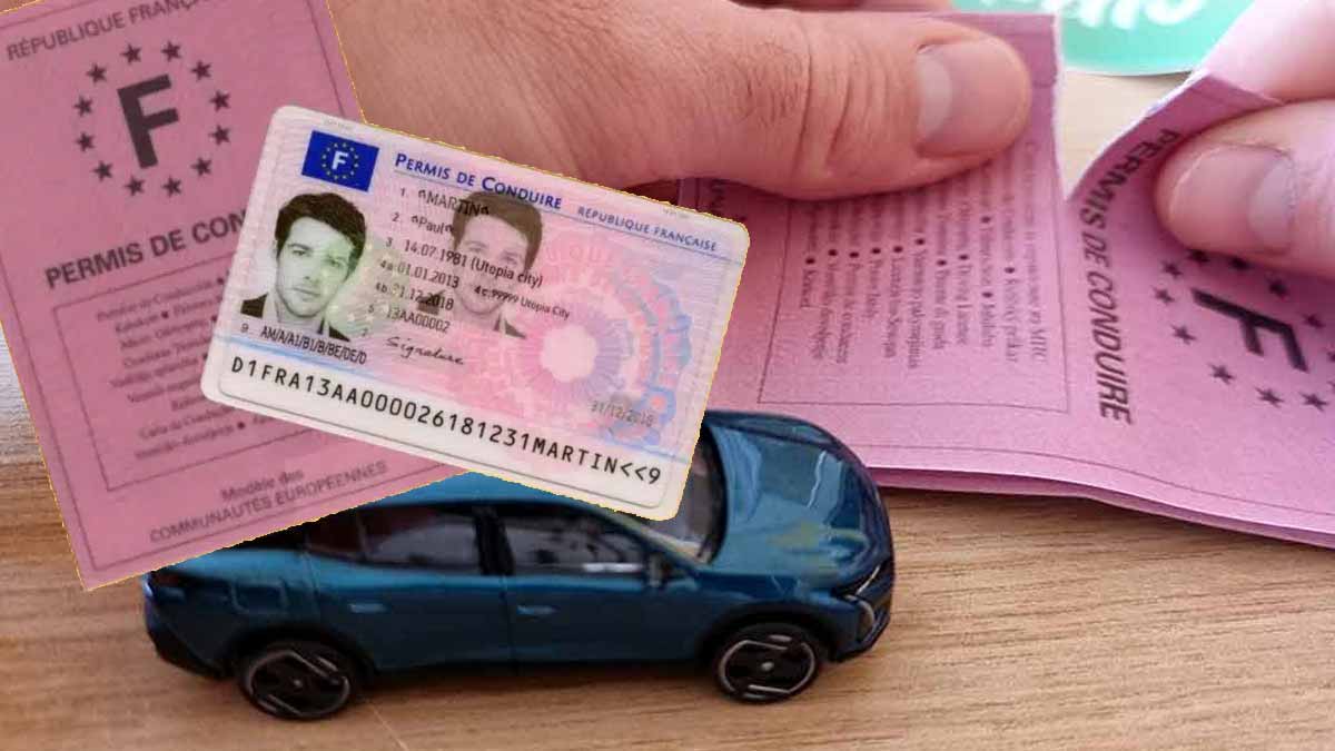 permis de conduire rose