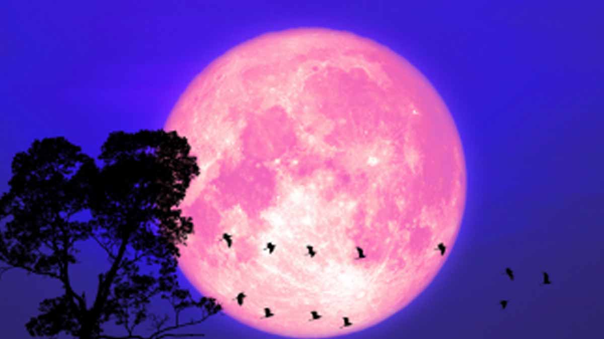 Pleine Lune des fraises